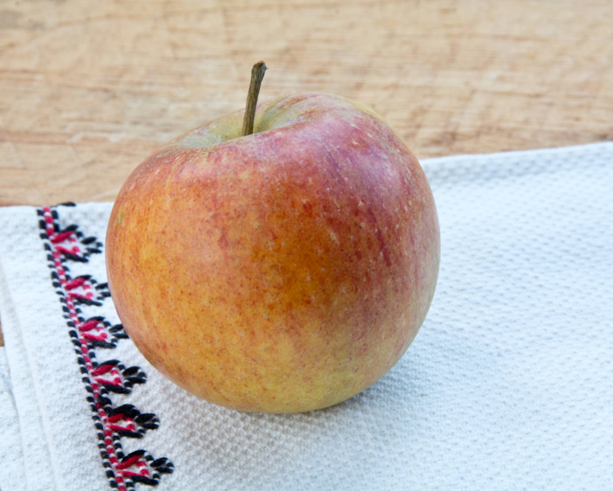 Cox's orange pippin heirloom apple