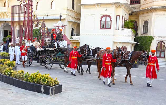 Marwari-driving