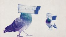 Photo collage of two pigeons with CCTV cameras for heads.