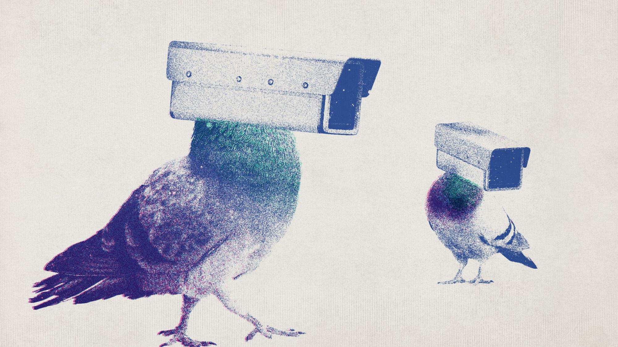Photo collage of two pigeons with CCTV cameras for heads.