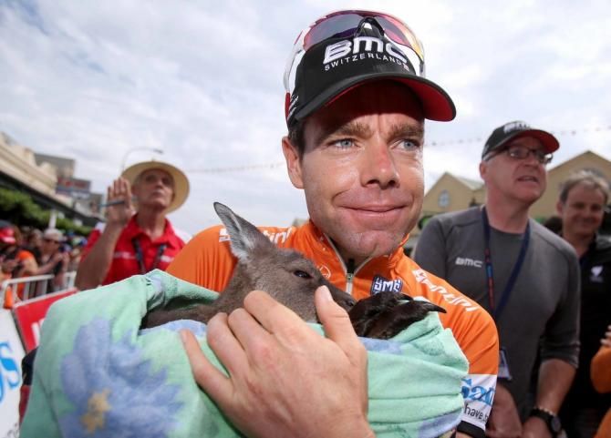 Cadel "cuddles" Evans with a joey (A baby kangaroo)