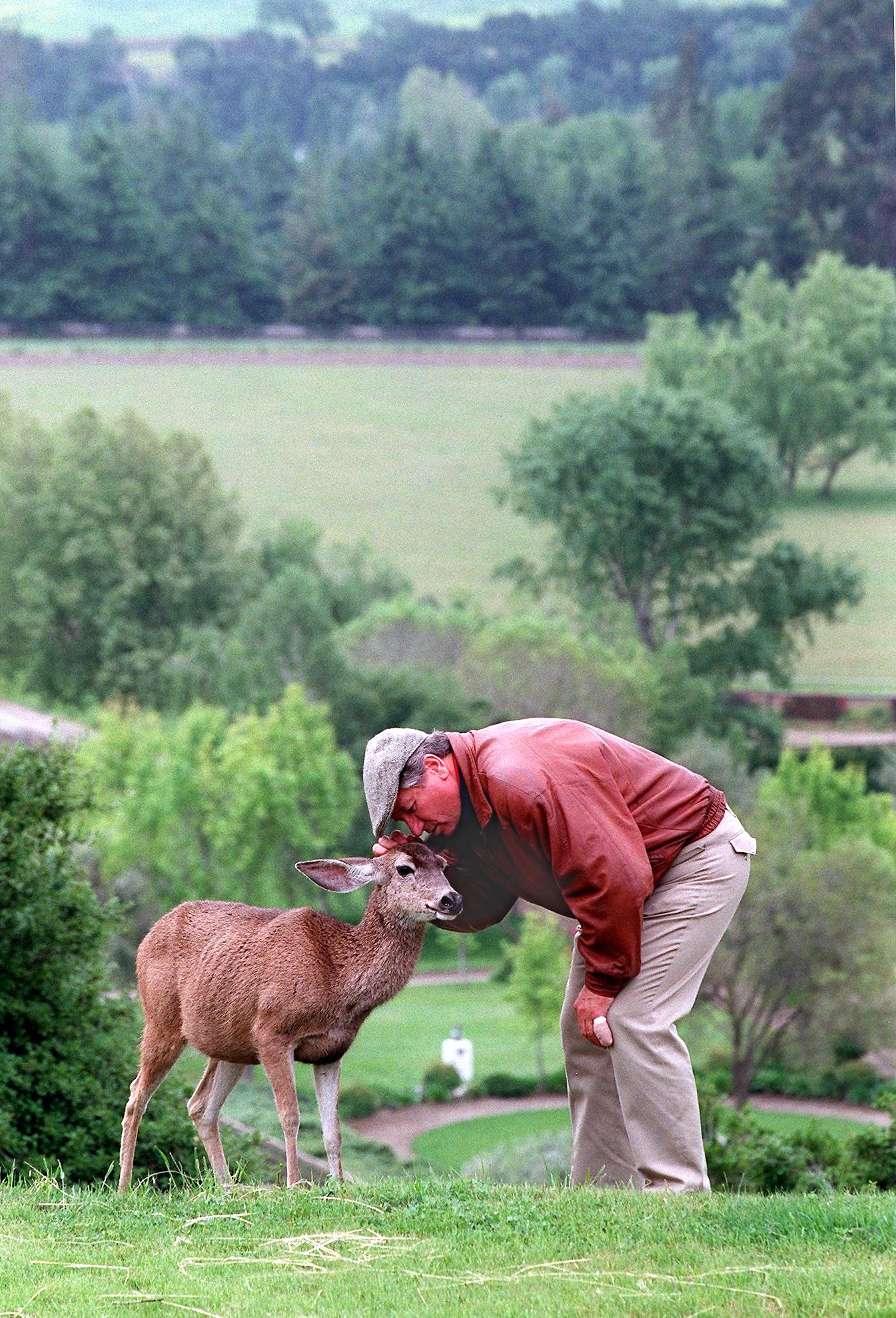 Monty Roberts bending down to nuzzle a deer on his property