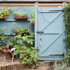 garden with pots and wall mounted plants