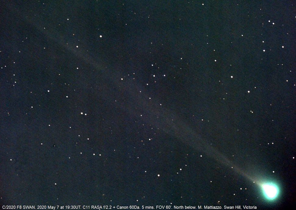 Newfound Comet SWAN could soon fizzle out of view