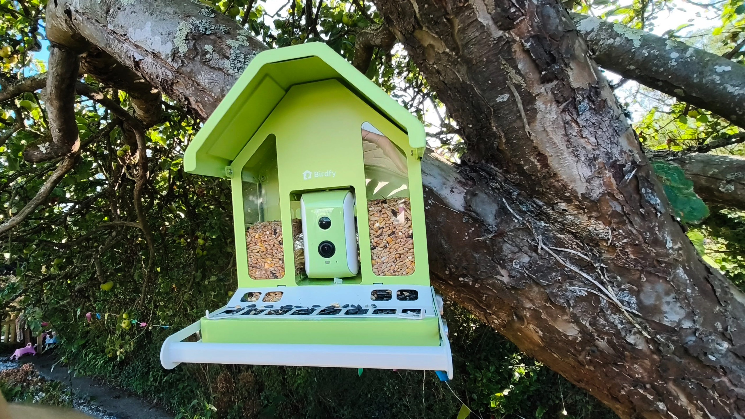 Birdfy Feeder Metal