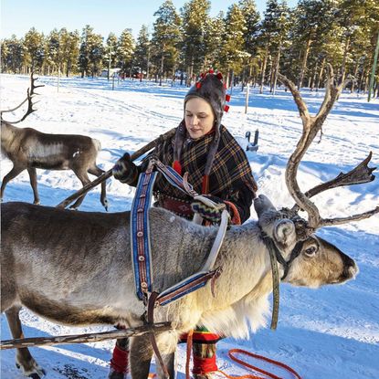 Indigenous Reindeer Herders Fight for Their Rights