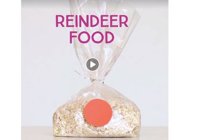 Reindeer food