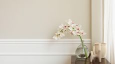 How to make your own orchid fertilizer