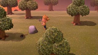 Animal Crossing New Horizons Make Money Fast Money Tree
