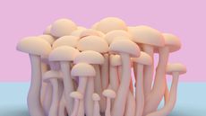 mushrooms on pink background