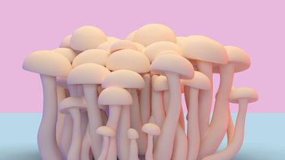 mushrooms on pink background