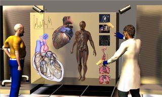 Virtual Human Body Could Be Used to Test New Treatments ...