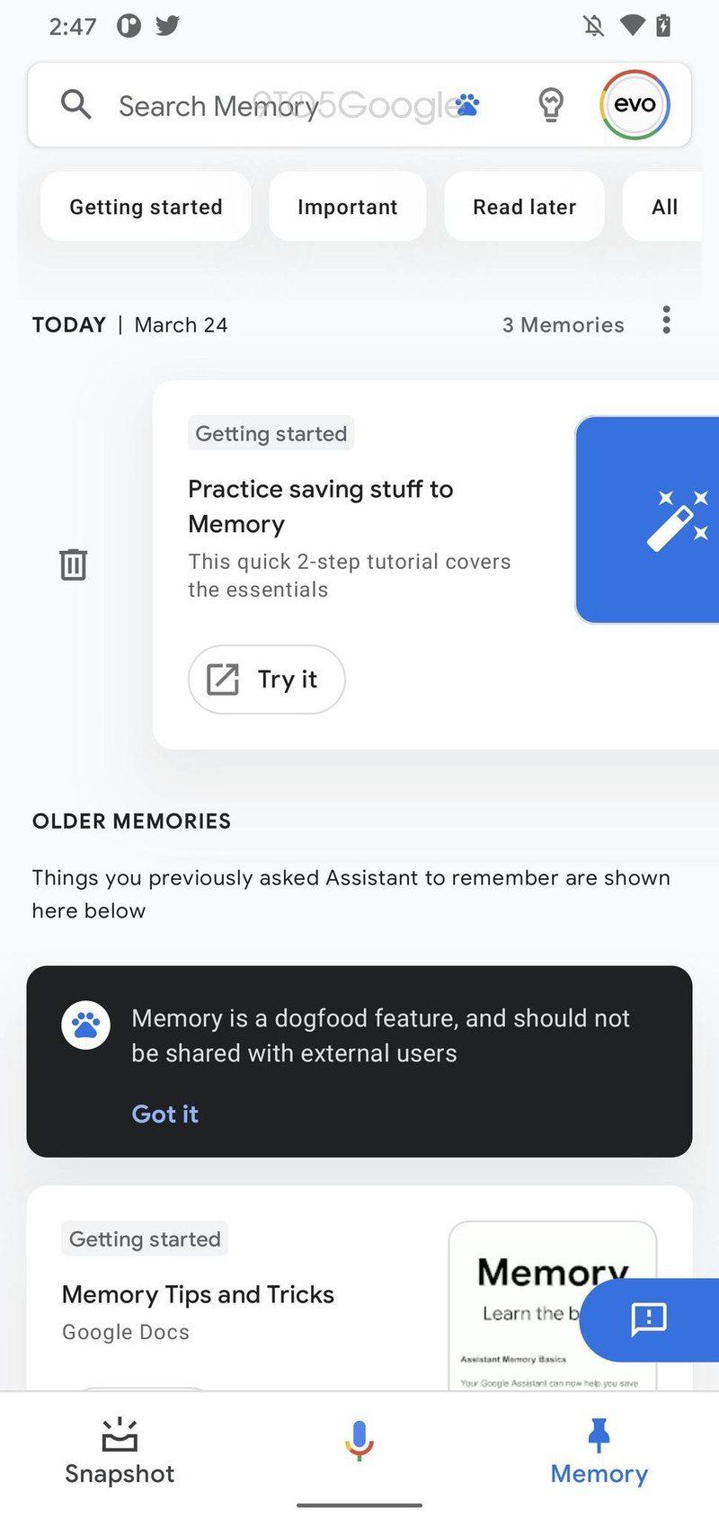 Google Assistant Memory Feed