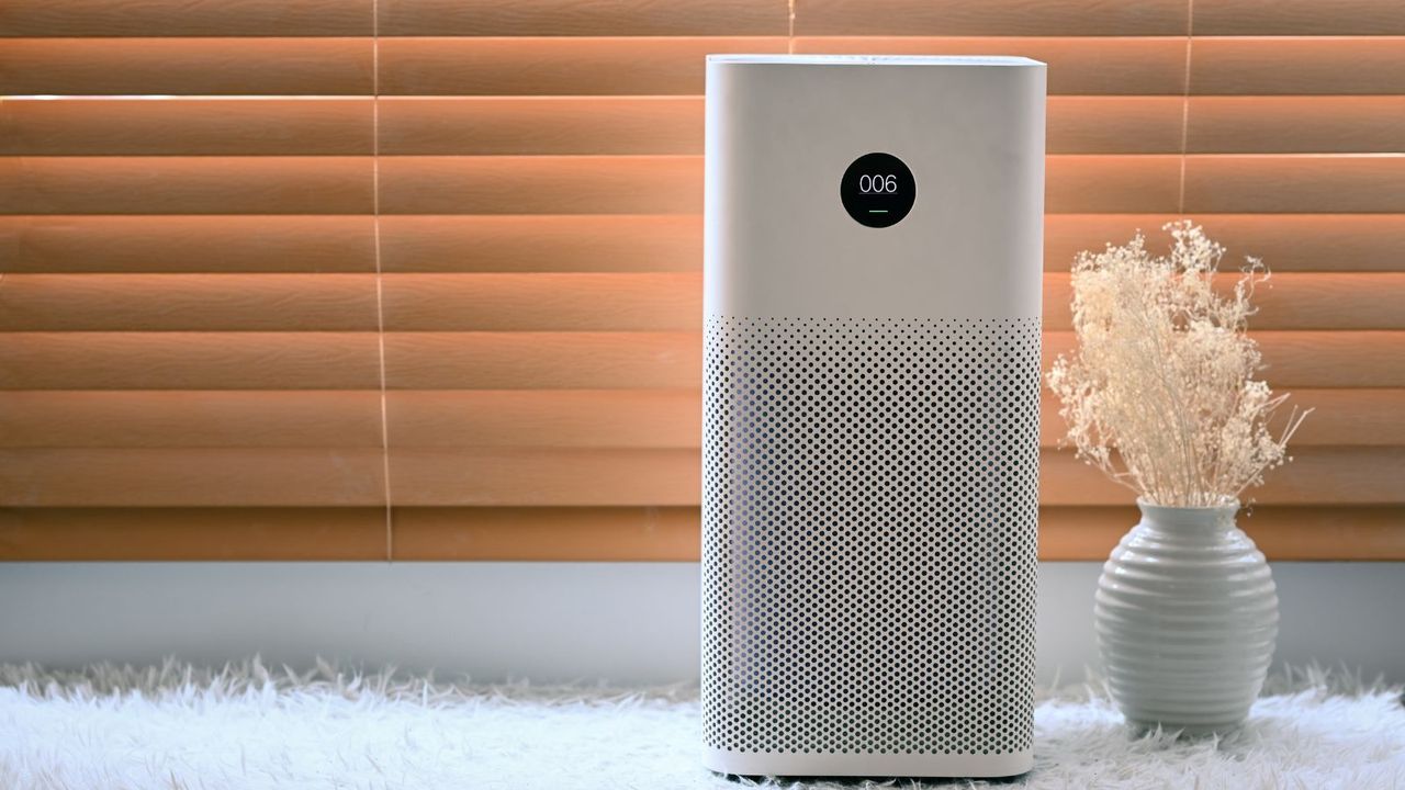 Do air purifiers actually work? Expert research and advice Homes