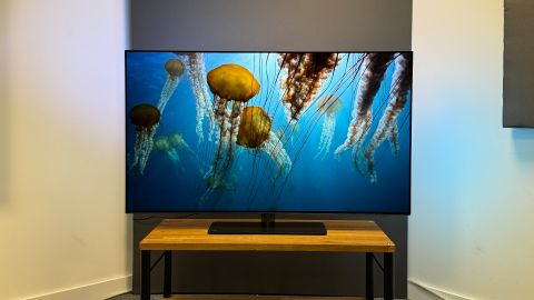 Philips OLED808 TV on wooden stand against white and grey background with an image of jellyfish on the screen
