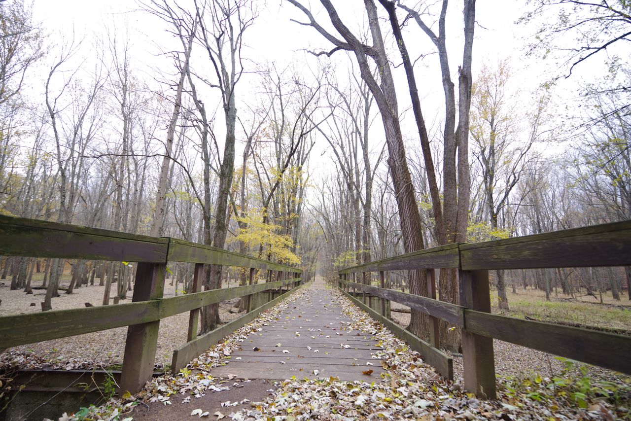 A sample image taken with the Pentax 15-30mm f/2.8 and K-1 Mark II