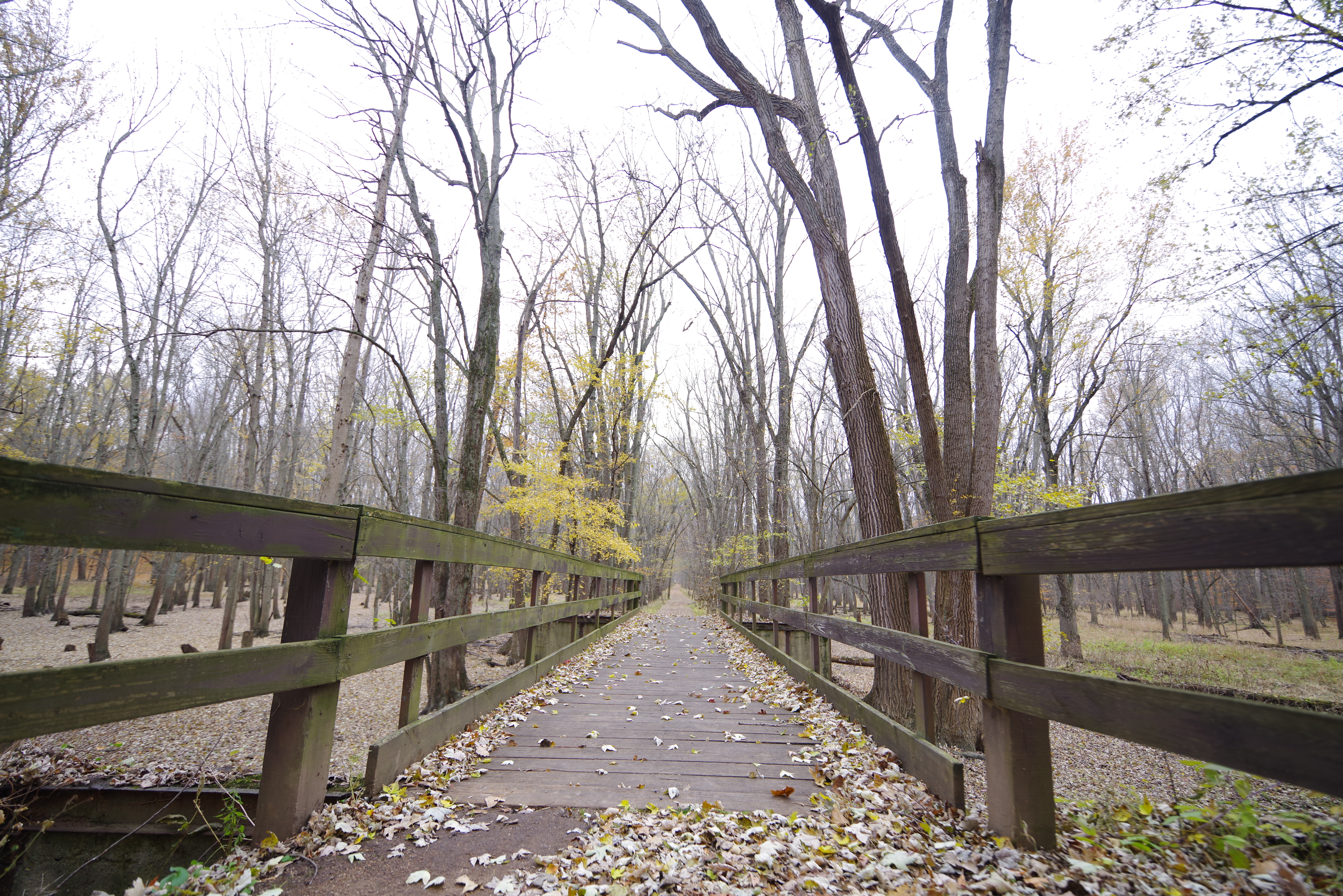 A sample image taken with the Pentax 15-30mm f/2.8 and K-1 Mark II