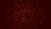 The MeerKAT in which astronomers made a detection of hydrogen in the distant universe