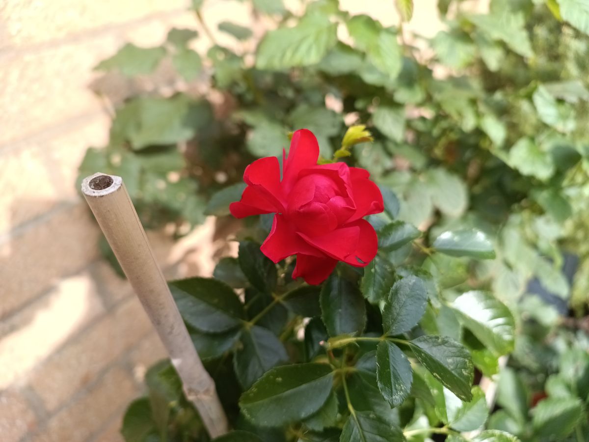 Fossibot F102 Photo Examples