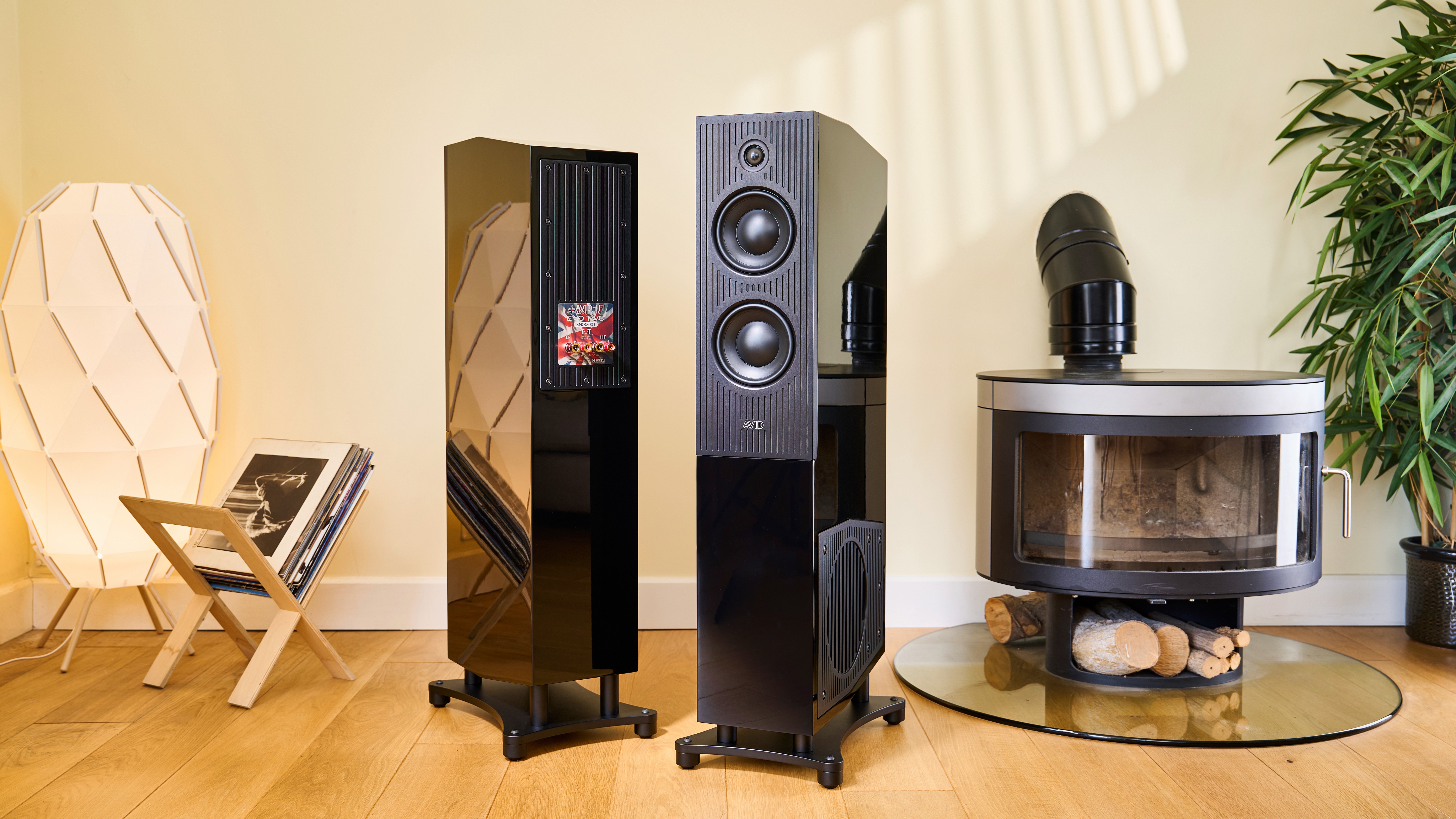 Avid Evo Two floorstanders lifestyle image
