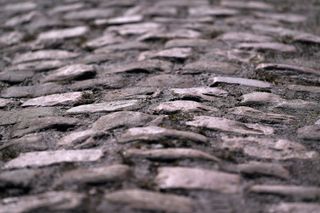 A close look at the mortar between the cobbles of the Arenberg Forest