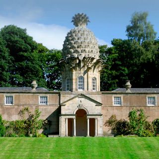 pineapple house with green lawn and tree