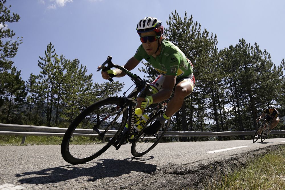 Peter Sagan put on a descending clinic at this year's Tour.