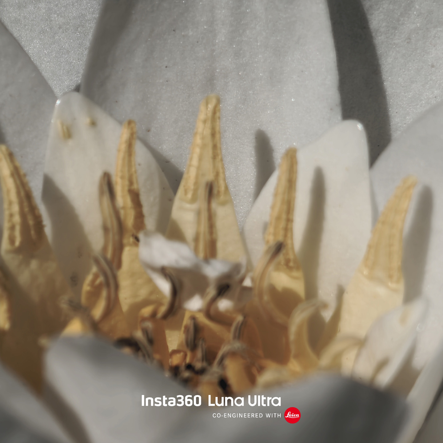 Insta360 Luna Ultra sample images