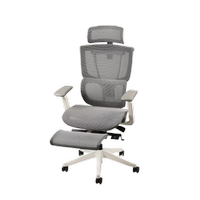 Flexispot C7 office chair