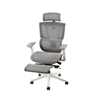Flexispot C7 office chair