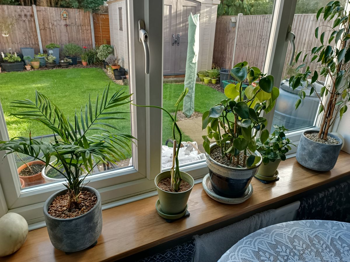 Doogee V30 photo examples