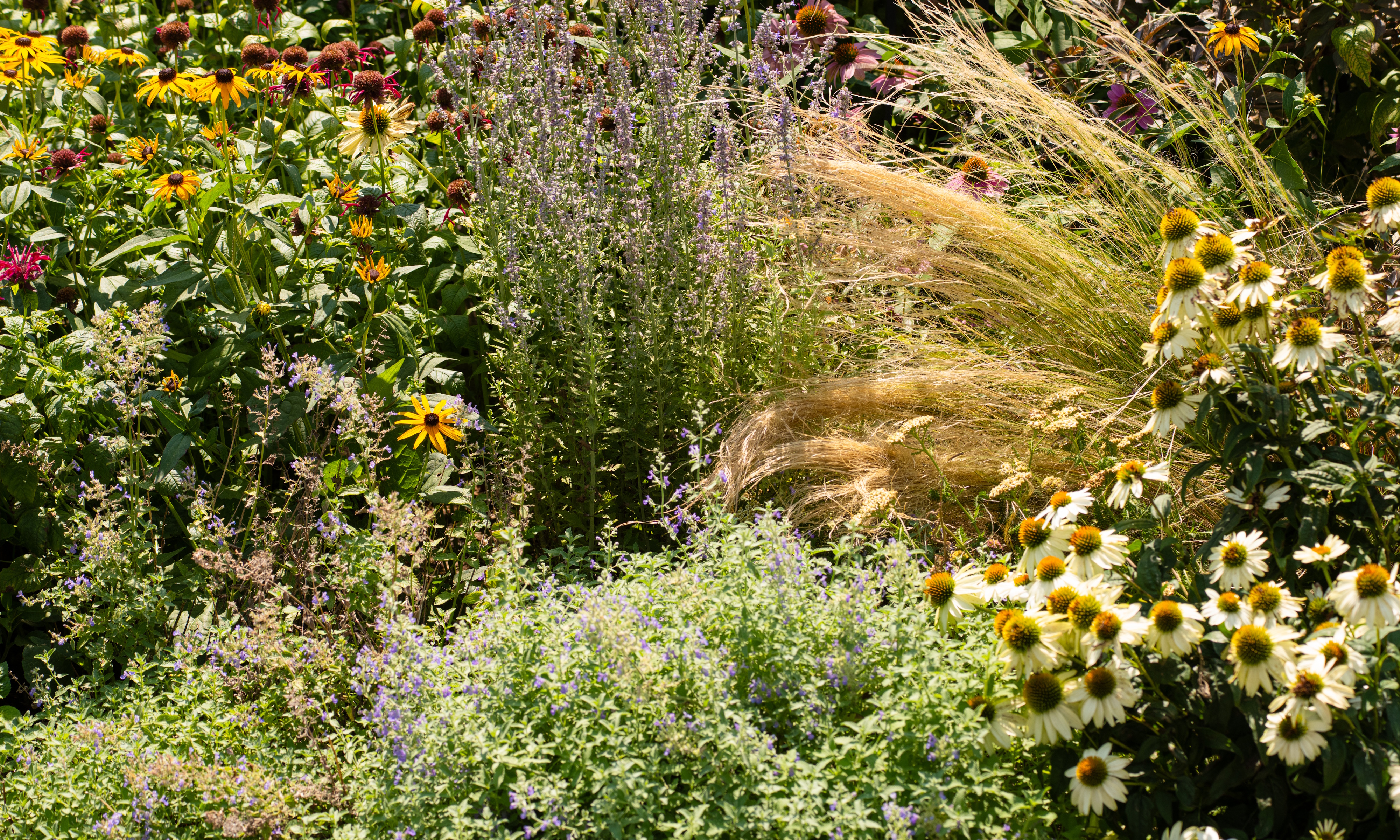 Layered naturalistic border