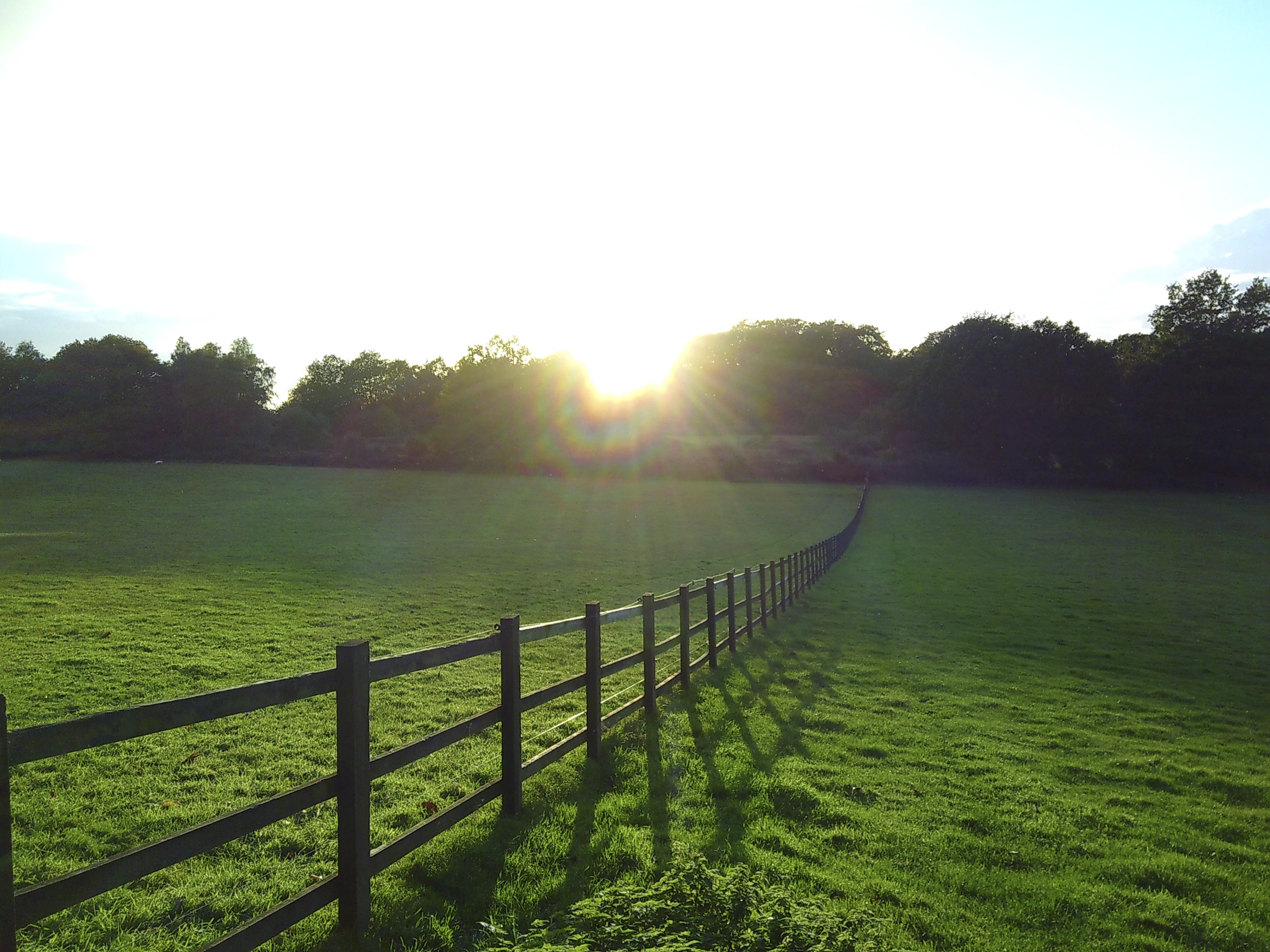 Sunset over field with wooden fence, taken with the Camp Snap camera