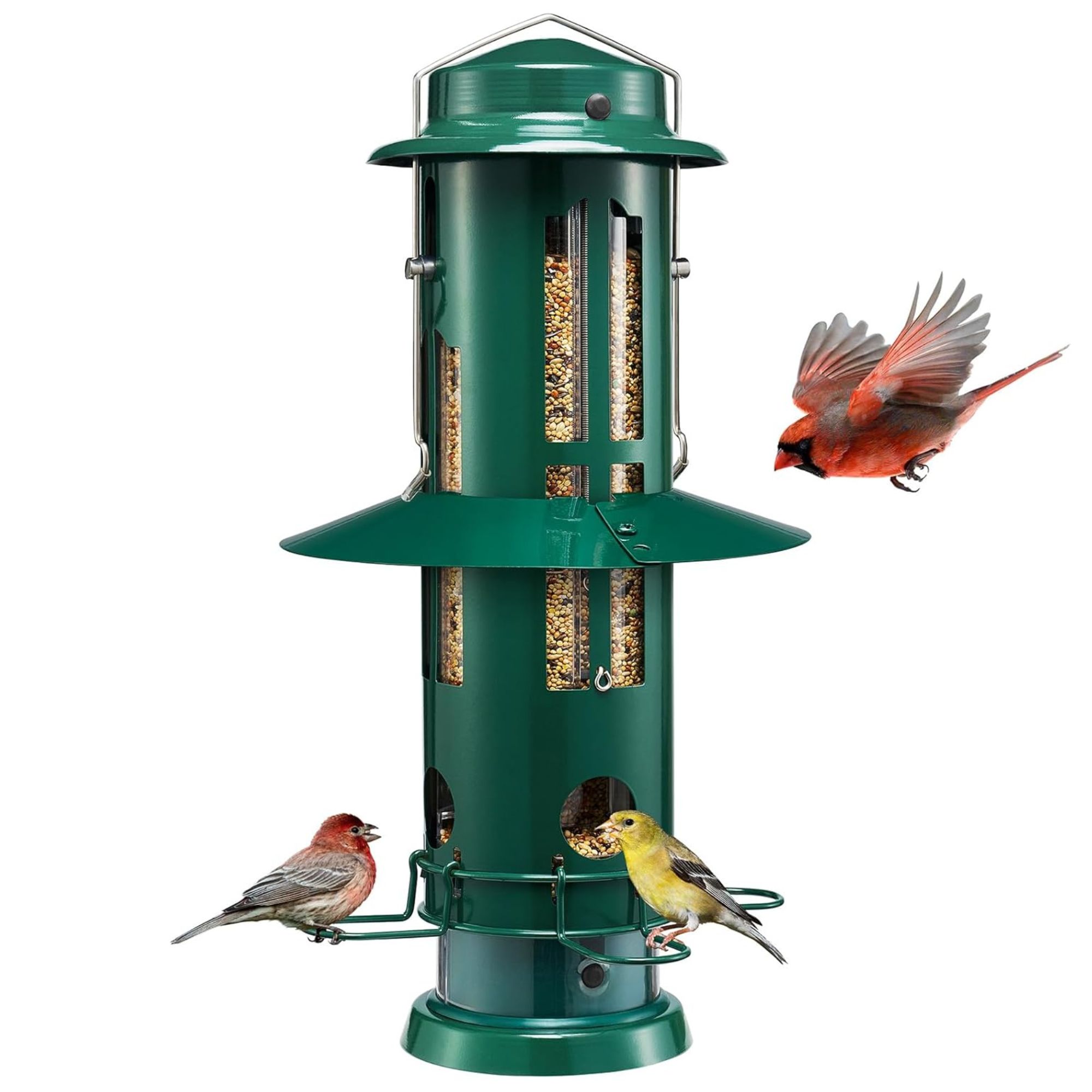 Kingsyard Squirrel Proof Suet Feeder