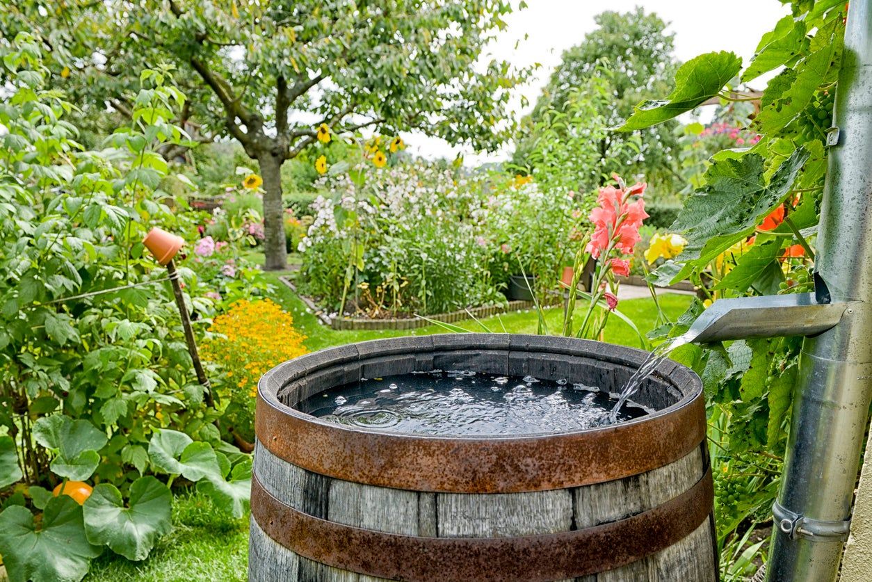 rain barrel