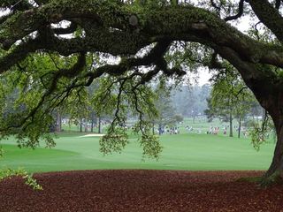 A damp and misty Tuesday morning is not enough to deter Masters patrons