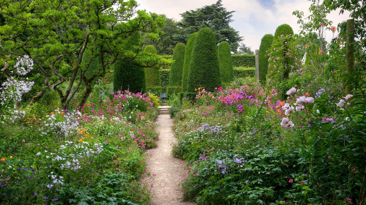 Expert tips for growing the perfect cottage garden: path