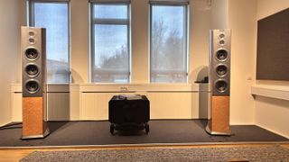 Audiovector R10 floorstanders 
