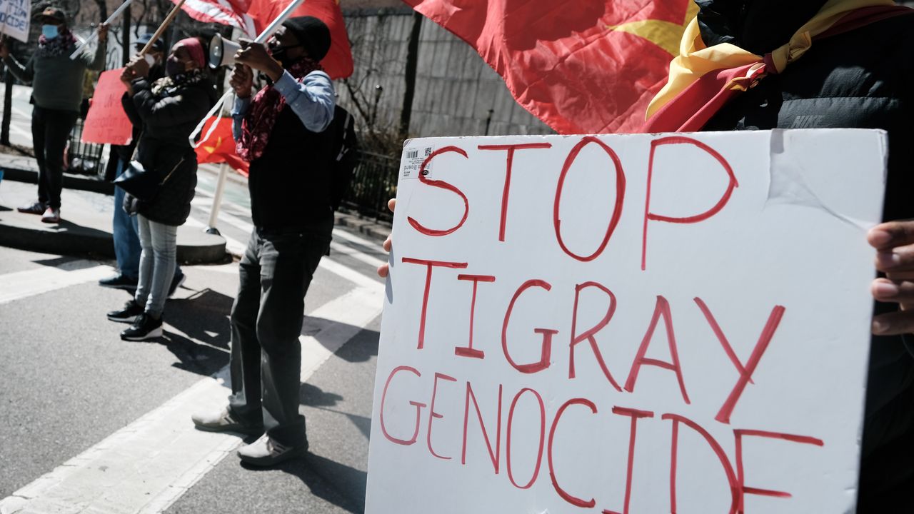 A small number of Tigrayan activists outside the UN in New York