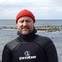 Thomas Wernberg's avatar
