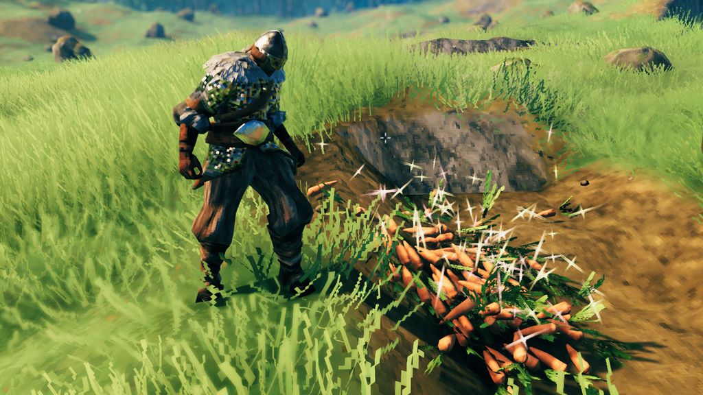 Valheim carrot farming How to harvest them PC Gamer