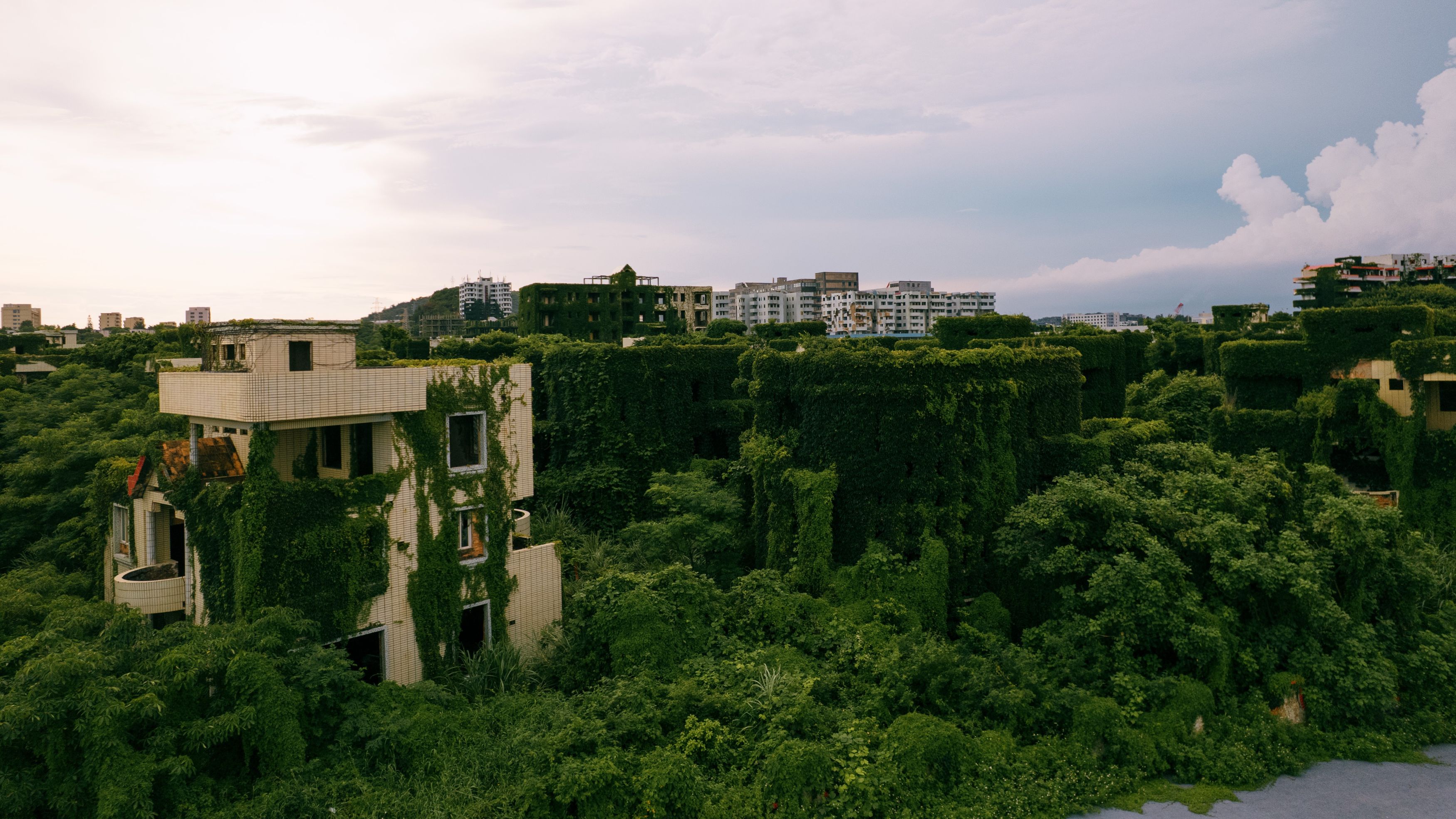 Nanhu Apartments in China overgrown after being abandoned 