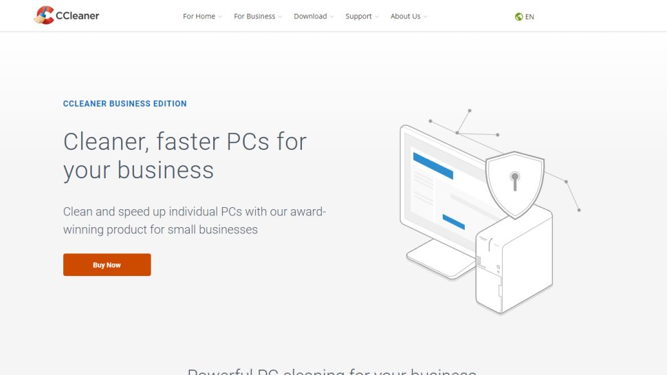 Website screenshot for CCleaner Business Edition