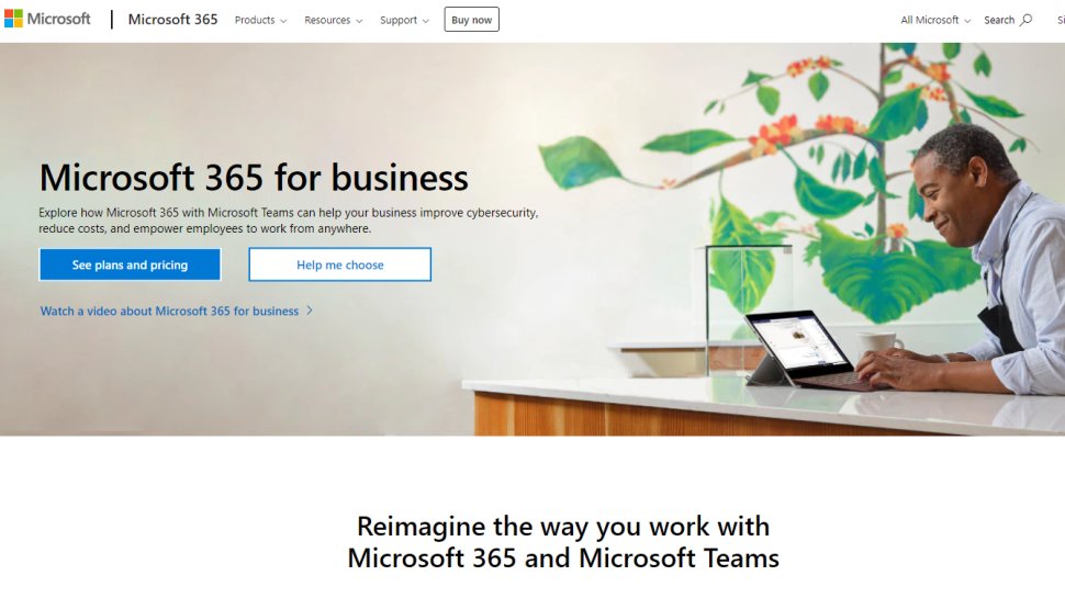 Website screenshot for Microsoft 365