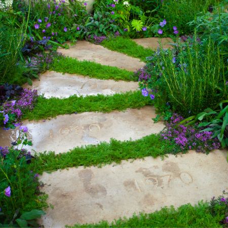 Ground cover plants growing in between stepping stones