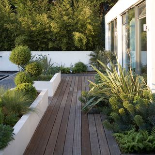 outdoor with wooden flooring and plants