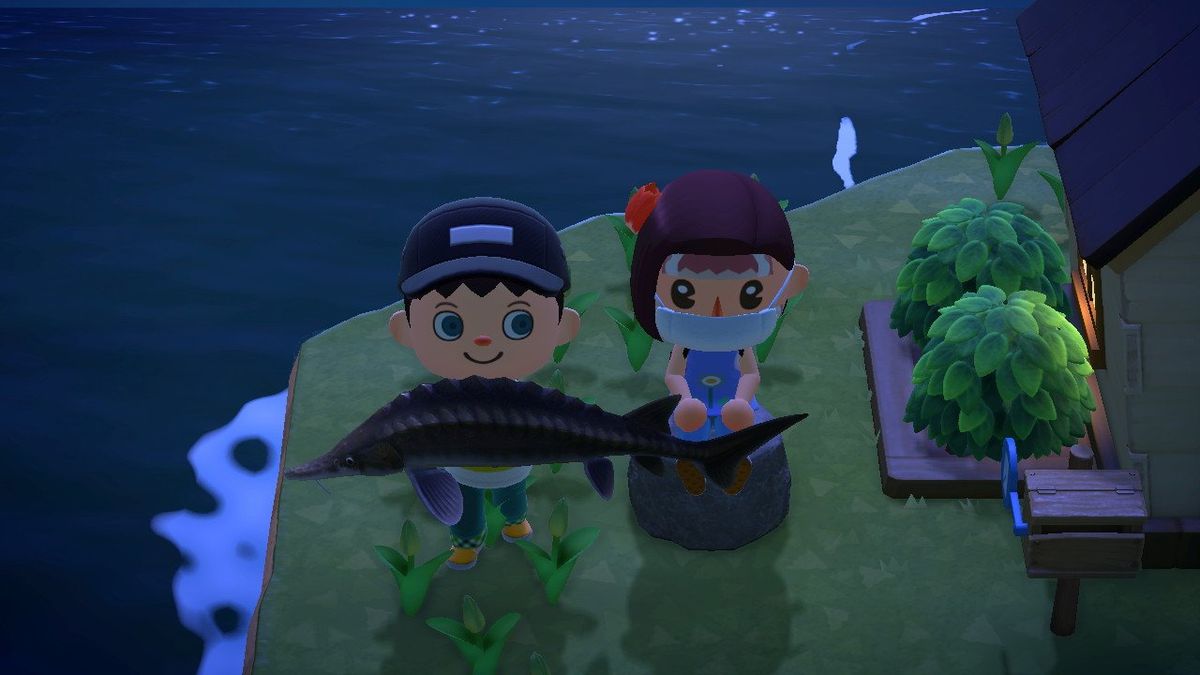Animal Crossing Multiplayer