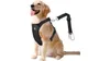 VavoPaw Dog Vehicle Safety Vest Harness
