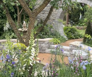 The Bridgerton Garden with foxgloves, irises and grasses