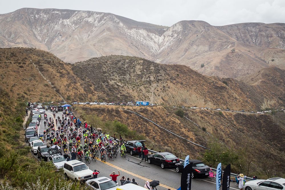 The peleton climbs during stage seven of the 2015 Amgen Tour of California